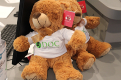 DOC Teddy Bear