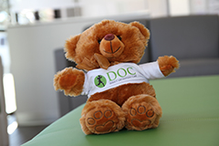 DOC South Austin Bear